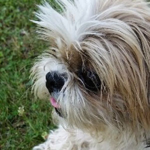 Meet your Posher, Whitney